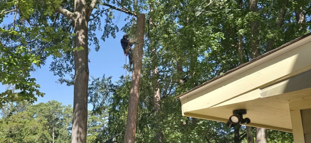 Tree services card showing welding and roofing repair with