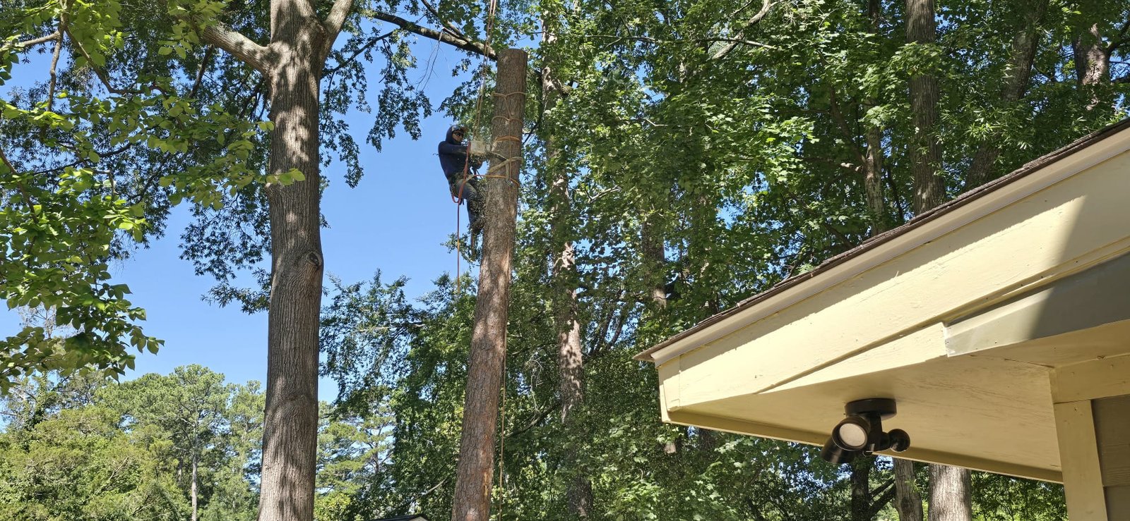 Tree services card showing welding and roofing repair with