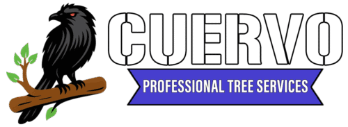 Cuervo tree service