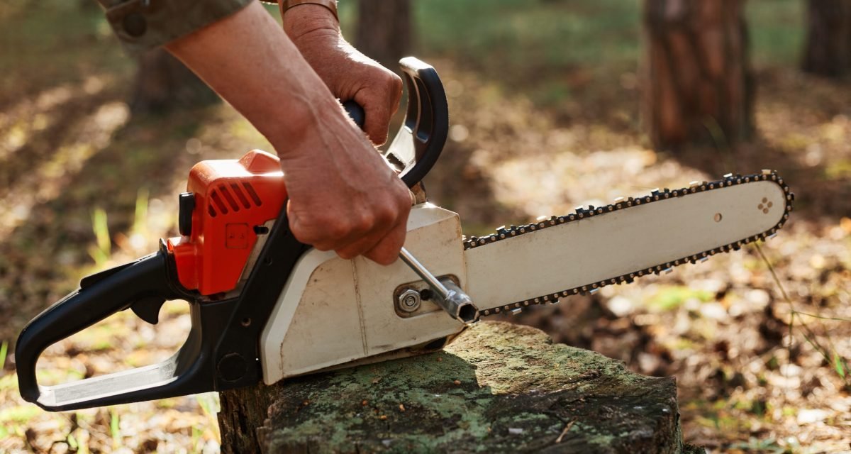 Worker preparing chainsaw for stump grinding service in outdoor area