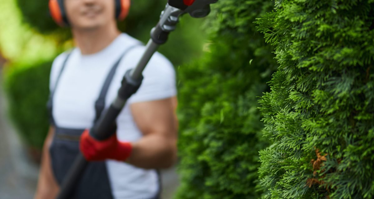 Gardener trimming hedges in a residential backyard